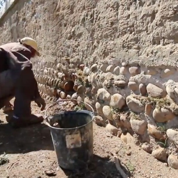 Restauration de 300 m de mur en pisé à la ferme de la Jamayère, à Brignais (69)
